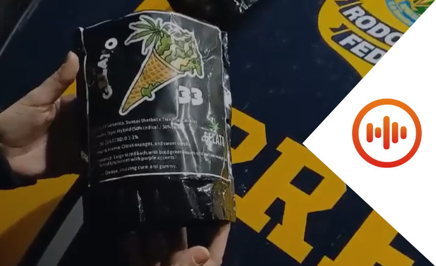 PRF-SP apreende 24 pacotes de skunk gourmet sabor gelato em fiscalizaÃ§Ã£o na FernÃ£o Dias