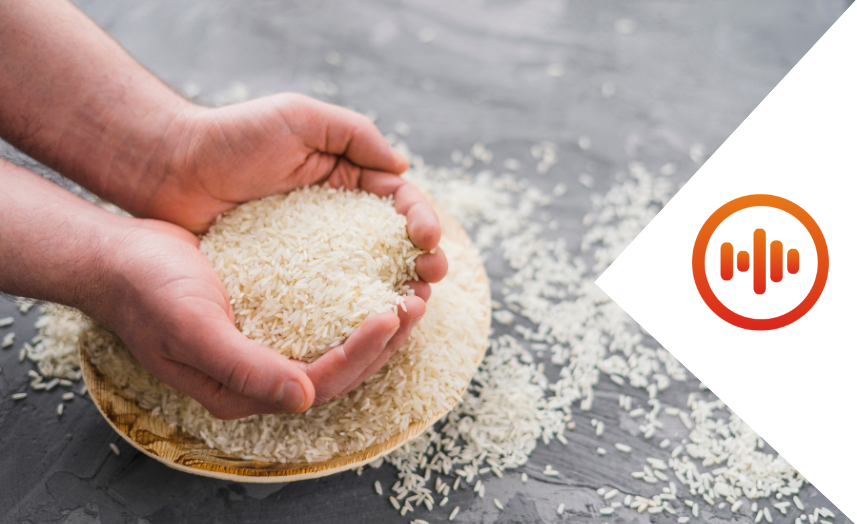 Governo, produtores e indÃºstria fecham acordo e preÃ§o do arroz serÃ¡ monitorado em todo paÃ­s