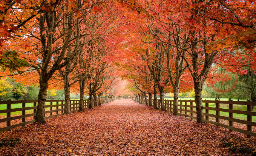 Verão termina e outono começa com previsão de calor acima da média