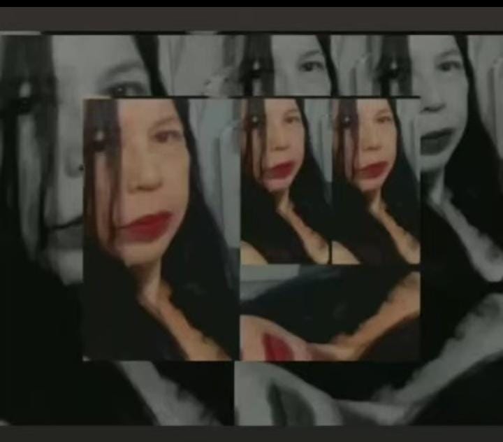 Aparecida Pereira de Souza 